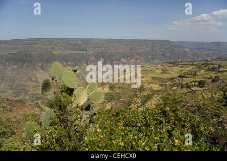 Affacciato sulla Rift Valley africana e delle aziende agricole nei pressi di Debre Libanos in Etiopia Foto Stock