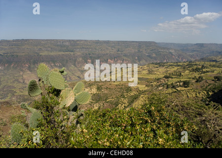 Affacciato sulla Rift Valley africana e delle aziende agricole nei pressi di Debre Libanos in Etiopia Foto Stock