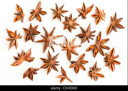 Anice stellato, Illicium verum Foto Stock