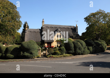 Il Cloud potatura di una siepe al di fuori di un cottage con tetto in paglia in Chipping Campden, Gloucestershire,un grazioso villaggio Costwold Foto Stock