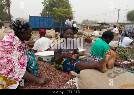 Cacao in strada Duékoué la Costa d Avorio Foto Stock