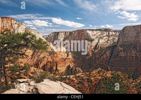 Nuvole sopra di flottazione Scout di atterraggio e il West Rim Trail con il grande trono bianco monolito in Utah's Zion National Park. Foto Stock