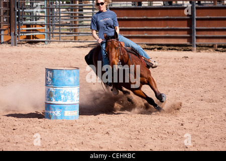 Donne canna cavallo di razza in recinto in las vegas Foto Stock