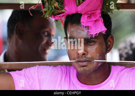Portrait - festival indù di thaipusam cavadee Foto Stock