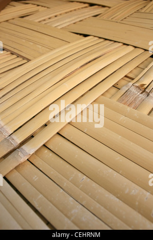 Primo piano del rifugio esotico Foto Stock