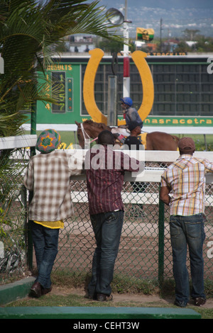Gli scommettitori di guardare un fantino prima di una gara, Caymanas Park Racing via, Kingston, Giamaica. Foto Stock
