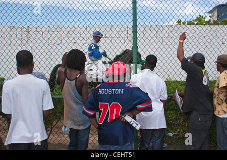 Gli scommettitori dietro il recinto di filo di guardare un fantino cavalcare alla pista, Caymanas Park Racing via, Kingston, Giamaica. Foto Stock