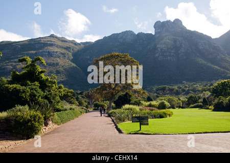 Kirstenbosch National Botanical Gardens,Cape Town,Provincia del Capo occidentale Foto Stock