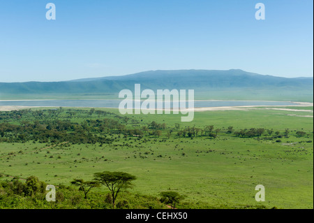 Cratere di Ngorongoro vista panoramica dalla strada in salita in Tanzania Foto Stock