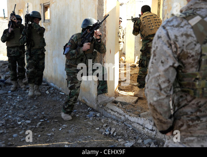 Un membro delle forze speciali di coalizione delle operazioni guarda come i soldati dell'ottavo Commando Kandak entrano in una stanza durante un esercizio di formazione nel distretto di Tarin Kowt, provincia di Uruzgan, Afghanistan, febbraio 14. L'ottavo Commando Kandak collabora con la coalizione SOF per condurre operazioni in tutte le province di Uruzgan e Zabul. Foto Stock