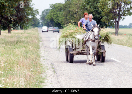 Cavallo e Carrozza, Romania l uomo e la moglie, famiglia Foto Stock