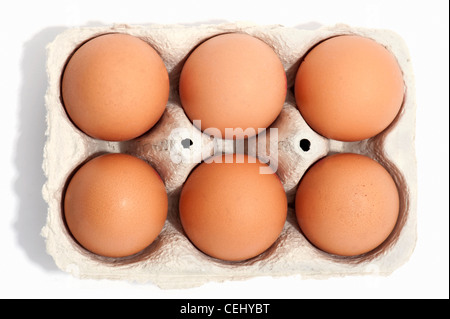 6 uova in una scatola per uova Foto Stock