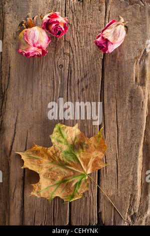 Asciugare le rose e Foglia di acero sul vecchio sfondo di legno con spazio di copia Foto Stock