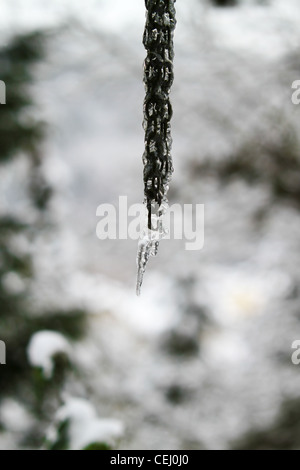 Vista delle catene congelati in inverno. Foto Stock