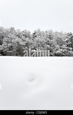 Vista della coperta di neve Foresta Nera nel sud della Germania dopo la tempesta di neve. Foto Stock