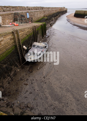 St Andrews Harbour, Fife, Scozia Foto Stock