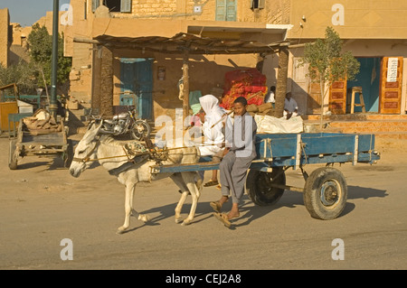 Il Nord Africa, Egitto, Oasi di Siwa, Shali, ragazzo asino di guida e il carrello sulla strada principale Foto Stock