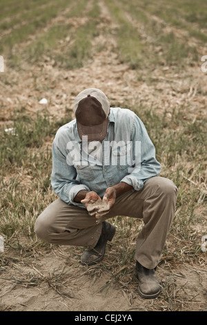 African American Farmer controllando la sporcizia nel campo Foto Stock