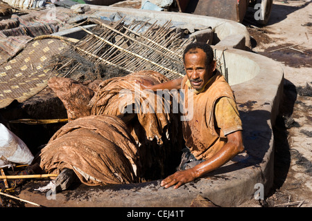 Locale lavoratore in cuoio nelle concerie, quartiere Medina, Marrakech, Marocco, Africa del Nord Foto Stock