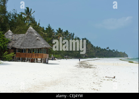 Il ristorante sulla spiaggia di Bwejuu Zanzibar Tanzania Foto Stock