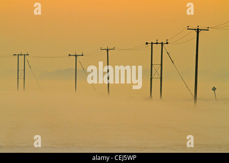 Linea di pali telefonici al tramonto con nebbia e neve Foto Stock