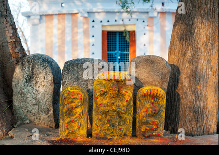 Altare indù pietre a un tempio raffigurante Indian vishnu divinità in sud campagna indiana. Andhra Pradesh, India Foto Stock