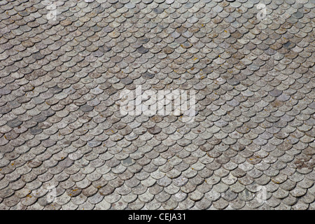 Piastrelle grigie tetto, fondo di architettura. Foto Stock