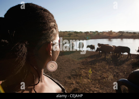 Hluhluwe,Thanda Private Game Reserve. KwaZulu-Natal Foto Stock