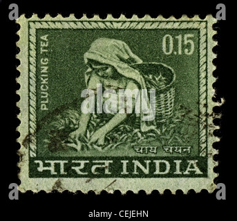 INDIA-circa 1965:un timbro stampato in India mostra immagine dei raccoglitori di tè, circa 1965. Foto Stock