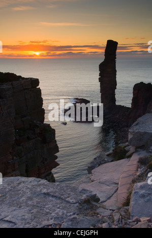 Il vecchio uomo di Hoy al tramonto, Orkney Islands, Scozia. Foto Stock