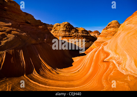 Il Wave è una roccia arenaria formazione situato negli Stati Uniti d'America nei pressi di Arizona e Utah confine. Foto Stock