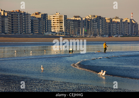 Belga lo sviluppo urbano che mostra appartamenti lungo la costa del Mare del Nord in Knokke-Heist, Belgio Foto Stock