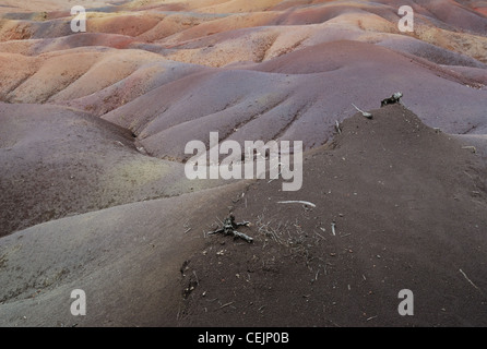 Sabbie colorate a Chamarel, Mauritius. Foto Stock