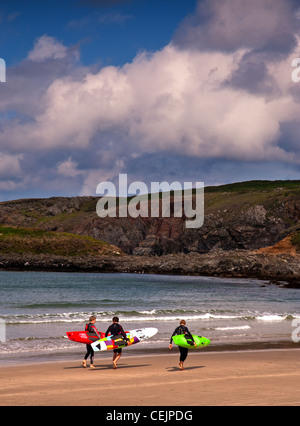 Surfisti a Whitesands Bay, Pembrokeshire Foto Stock