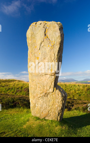 Una singola pietra permanente nell'anello di Brodgar, Orkney Islands, Scozia. Foto Stock