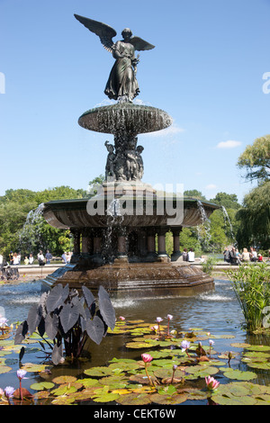 Stati Uniti d'America, New York, Central Park, l'angelo delle acque, di Bethesda fontana scolpita (1873) Foto Stock