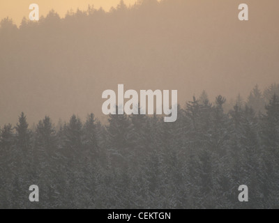 Alba con nebbia di mattina sulla foresta, Foresta Bavarese, Germania / Sonnenaufgang mit Morgennebel über Wald, Bayerischer Wald Foto Stock