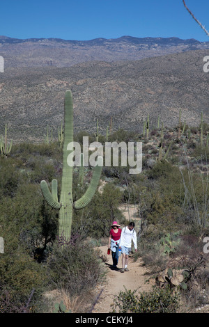 Tucson, Arizona - Escursionisti sulla molla di Douglas Trail nel Parco nazionale del Saguaro. Foto Stock