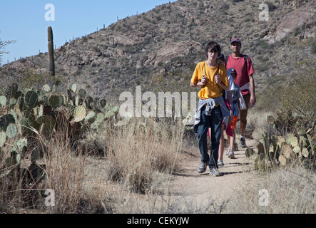 Tucson, Arizona - Escursionisti sulla molla di Douglas Trail nel Parco nazionale del Saguaro. Foto Stock