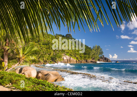 Anse Bazarca, Mahé Seychelles. Mare mosso le percosse spiaggia tropicale. Foto Stock