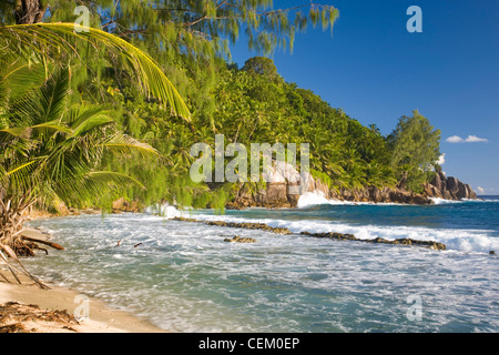 Anse Bazarca, Mahé Seychelles. Mare mosso le percosse spiaggia tropicale. Foto Stock