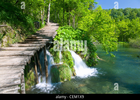 Il Parco Nazionale dei Laghi di Plitvice, Lika-Senj Affitto, Croazia. Il Boardwalk attraverso boschi sopra le cascate attraente. Foto Stock