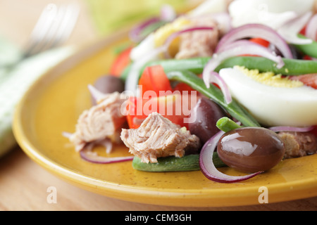 Insalata Nizzarda con tonno e verdure closeup Foto Stock