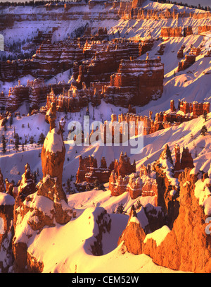 Sunrise su Queen's Garden come visto da appena al di sotto del punto di Sunrise lungo il Navajo Loop Trail nel Parco Nazionale di Bryce Canyon, Utah Foto Stock