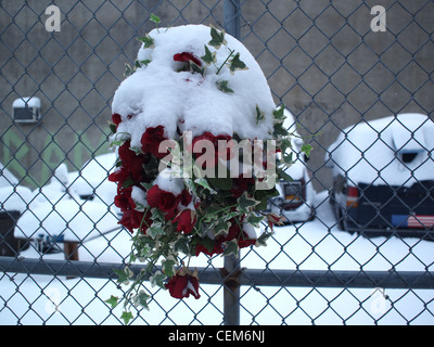 Memorial fiori per amico morto, Brooklyn, New York Foto Stock