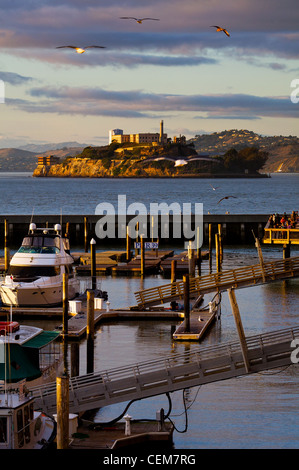 Gabbiani riempiono il cielo come il sole illumina Alcatraz visto dal Molo 39 al Fisherman's Wharf di San Francisco. Foto Stock