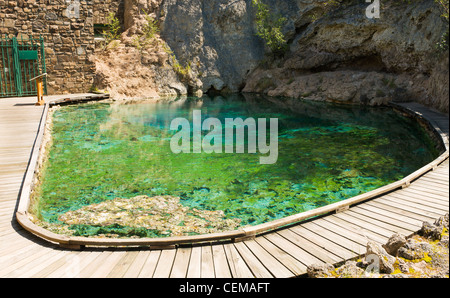 Color smeraldo sorgente minerale conca alla grotta e Basin National Historic Site, Banff, Alberta, Canada. Foto Stock