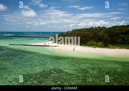 Vista aerea di Isola Verde - a Coral Cay vicino a Cairns. La Grande Barriera Corallina, Queensland, Australia Foto Stock