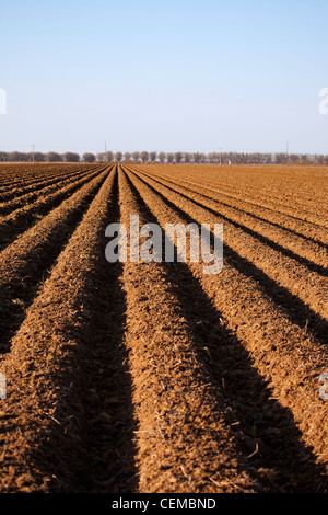Agricoltura-bedded su campo in primavera, preparati e pronti per la piantagione di cotone / Eastern Arkansas, Stati Uniti d'America. Foto Stock