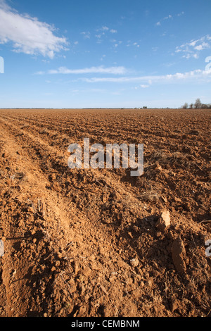 Agricoltura-bedded su campo in primavera, preparati e pronti per la piantagione di cotone / Eastern Arkansas, Stati Uniti d'America. Foto Stock